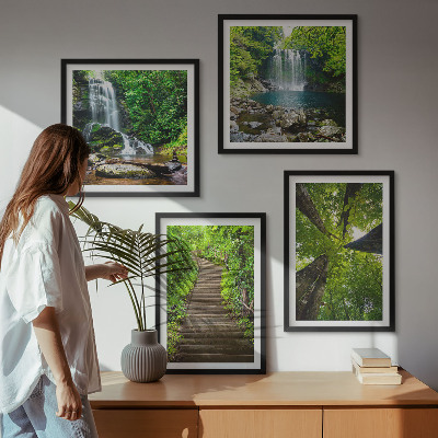 Composição de quadros Trilha na floresta com cachoeira e vegetação