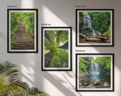 Composição de quadros Trilha na floresta com cachoeira e vegetação