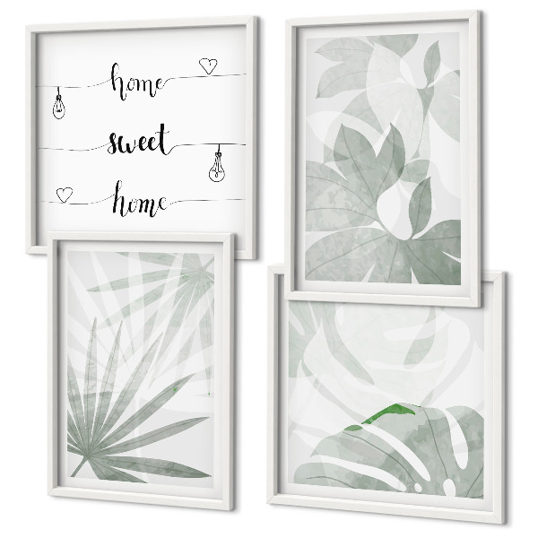 Composição de quadros As folhas das plantas são verde-acinzentadas.