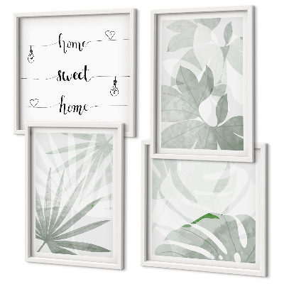 Composição de quadros As folhas das plantas são verde-acinzentadas.