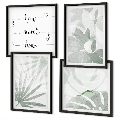 Composição de quadros As folhas das plantas são verde-acinzentadas.