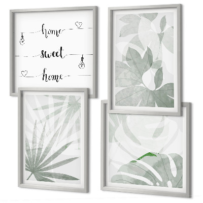 Composição de quadros As folhas das plantas são verde-acinzentadas.