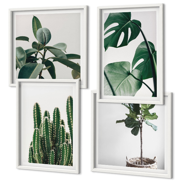 Conjunto de 4 quadros com moldura Estética das plantas tropicais