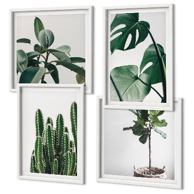 Conjunto de 4 quadros com moldura Estética das plantas tropicais