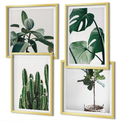 Conjunto de 4 quadros com moldura Estética das plantas tropicais
