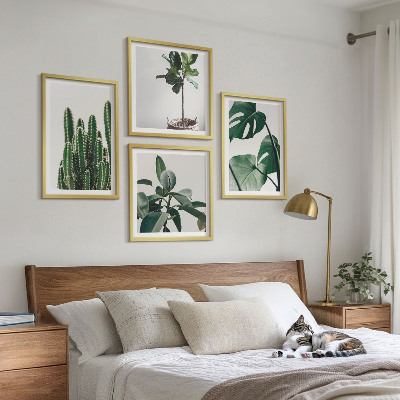 Conjunto de 4 quadros com moldura Estética das plantas tropicais