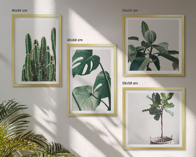 Conjunto de 4 quadros com moldura Estética das plantas tropicais