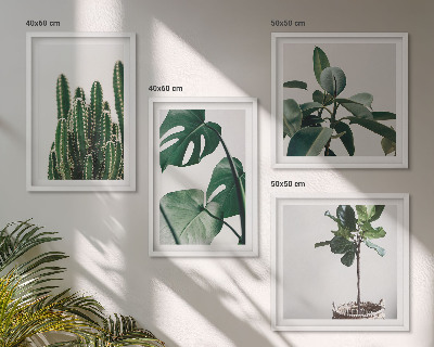 Conjunto de 4 quadros com moldura Estética das plantas tropicais