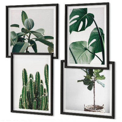 Conjunto de 4 quadros com moldura Estética das plantas tropicais