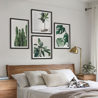 Conjunto de 4 quadros com moldura Estética das plantas tropicais
