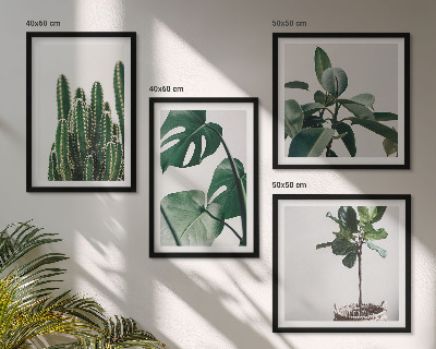 Conjunto de 4 quadros com moldura Estética das plantas tropicais