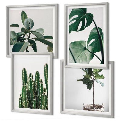 Conjunto de 4 quadros com moldura Estética das plantas tropicais