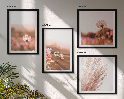 Conjunto de 4 quadros com moldura Flores silvestres nos prados durante o verão