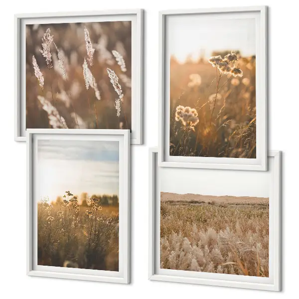 Conjunto de 4 quadros com moldura flores dos prados ao pôr do sol