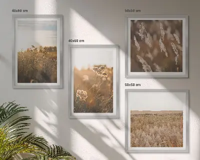 Conjunto de 4 quadros com moldura flores dos prados ao pôr do sol