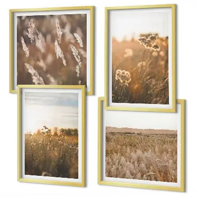 Conjunto de 4 quadros com moldura flores dos prados ao pôr do sol
