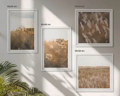 Conjunto de 4 quadros com moldura flores dos prados ao pôr do sol