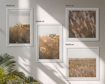 Conjunto de 4 quadros com moldura flores dos prados de verão pôr do sol