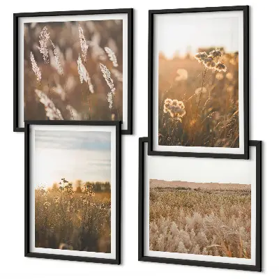 Conjunto de 4 quadros com moldura flores dos prados ao pôr do sol
