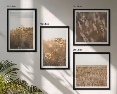Conjunto de 4 quadros com moldura flores dos prados ao pôr do sol