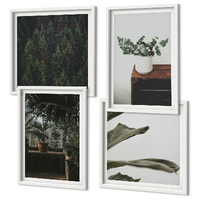 Conjunto de 4 quadros com moldura Plantas rústicas em vasos