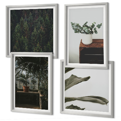 Conjunto de 4 quadros com moldura Plantas rústicas em vasos