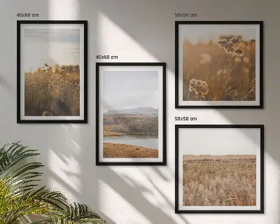Conjunto de 4 quadros com moldura com paisagens de prados, montanhas e lago