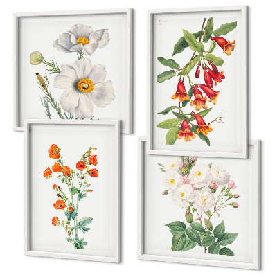 Composição de quadros Pintura floral retrô