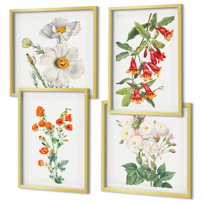 Composição de quadros Pintura floral retrô
