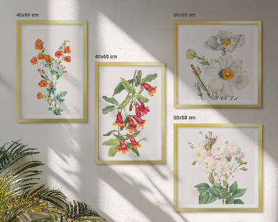 Composição de quadros Pintura floral retrô