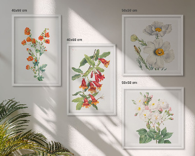 Composição de quadros Pintura floral retrô
