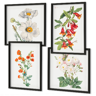 Composição de quadros Pintura floral retrô