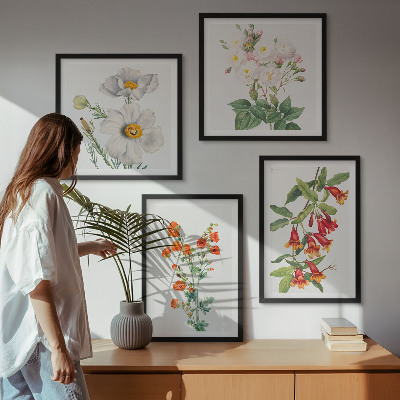 Composição de quadros Pintura floral retrô