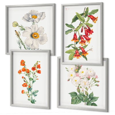 Composição de quadros Pintura floral retrô