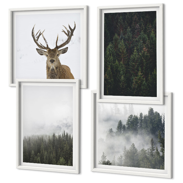 Composição de quadros Florestas verdes paisagem enevoada