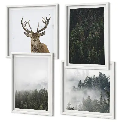 Composição de quadros paisagem de floresta verde com efeito enevoado