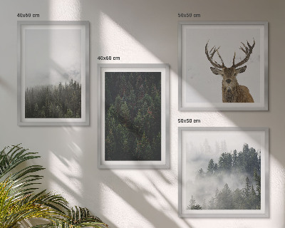 Composição de quadros Florestas verdes paisagem enevoada