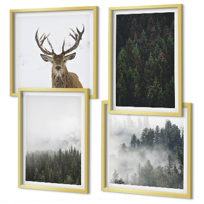 Composição de quadros Florestas verdes paisagem enevoada