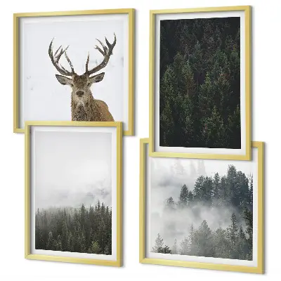 Composição de quadros paisagem de floresta verde com efeito enevoado
