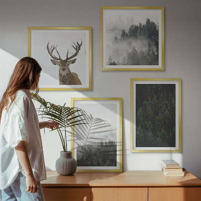 Composição de quadros Florestas verdes paisagem enevoada