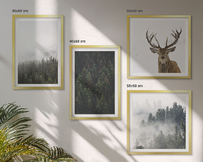 Composição de quadros Florestas verdes paisagem enevoada