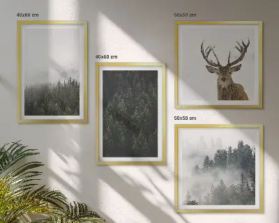 Composição de quadros paisagem de floresta verde com efeito enevoado