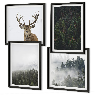 Composição de quadros Florestas verdes paisagem enevoada