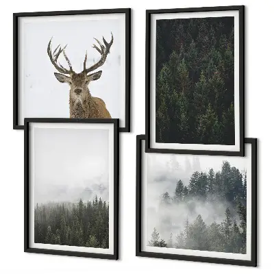 Composição de quadros paisagem de floresta verde com efeito enevoado