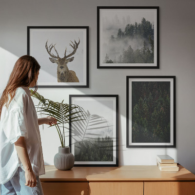 Composição de quadros Florestas verdes paisagem enevoada