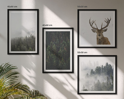 Composição de quadros Florestas verdes paisagem enevoada
