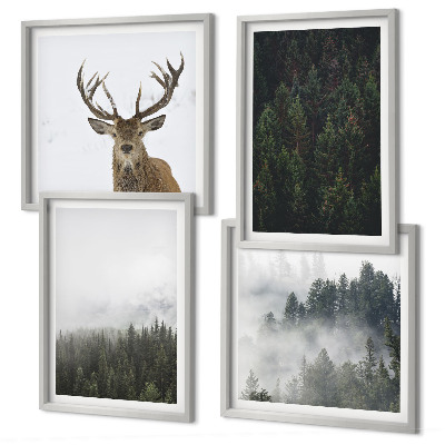 Composição de quadros Florestas verdes paisagem enevoada