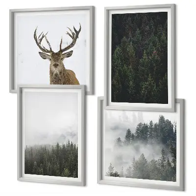 Composição de quadros paisagem de floresta verde com efeito enevoado