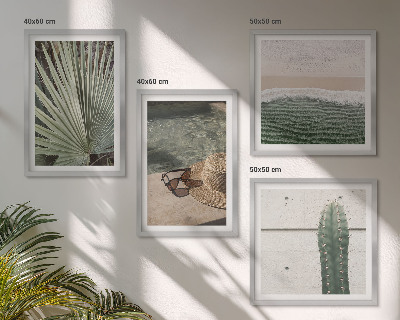Composição de quadros Acessórios para plantas tropicais