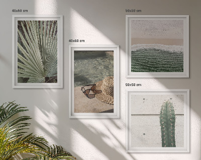 Composição de quadros Acessórios para plantas tropicais
